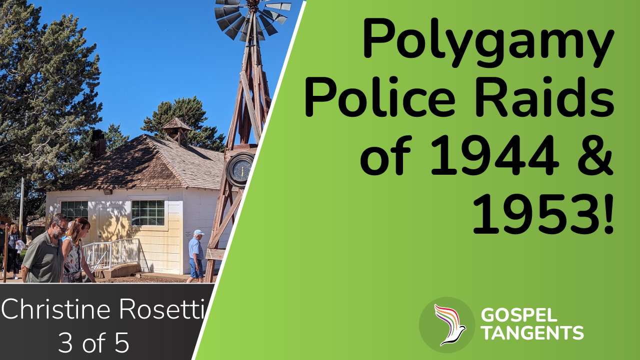 Police Raids on polygamists caused deep trauma in those communities.